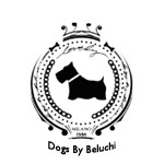 DOGS BY BELUCHI